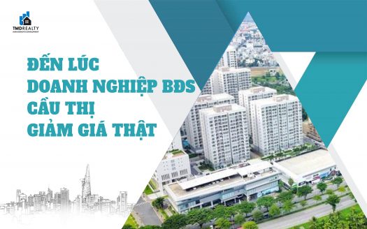 Chủ tịch HoREA: Đến lúc doanh nghiệp bất động sản cầu thị, giảm giá thật