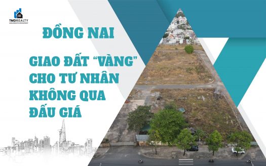 Công an Đồng Nai khởi tố vụ án giao đất 'vàng' cho tư nhân không đấu giá