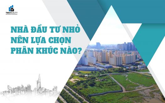 Nhà đầu tư nhỏ nên lựa chọn phân khúc nào để “hái ra tiền”?