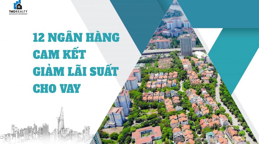 12 ngân hàng cam kết giảm lãi suất cho vay: Nhà đầu tư phấn khởi vì thanh khoản thị trường sẽ cải thiện