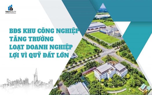 Bất động sản khu công nghiệp tăng trưởng, loạt doanh nghiệp lợi nhờ quỹ đất lớn