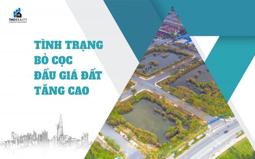 Tình trạng bỏ cọc đấu giá đất đang tăng cao