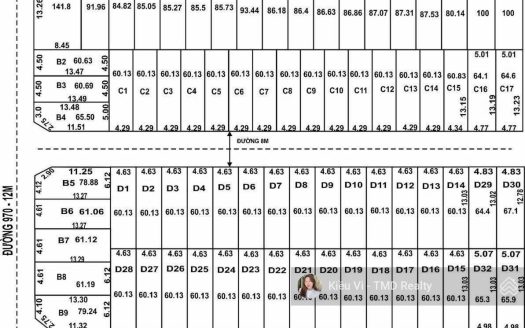 Bán nền đất 60.1m2/4,55 tỷ SHR cách Nguyễn Duy Trinh 30m dự án Tín Hưng đường 970 Phú Hữu Quận 9